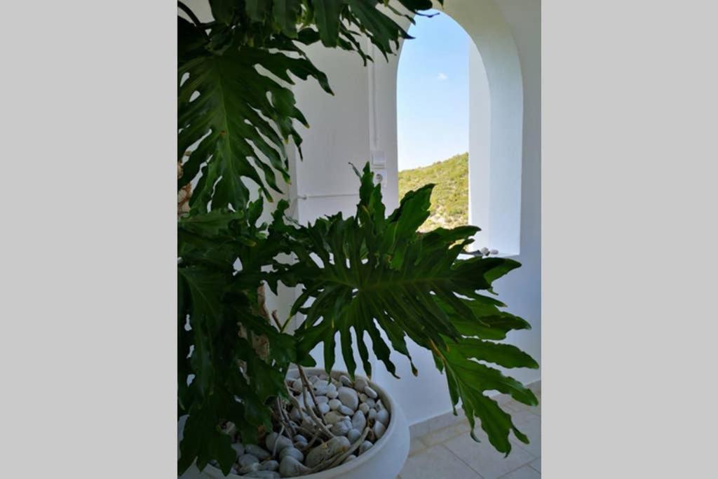 Village View Νέα Επίδαυρος Εξωτερικό φωτογραφία